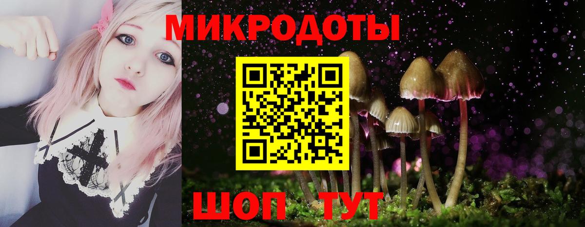 Псилоцибиновые грибы Psilocybine cubensis Амурск